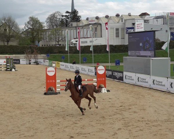 Reitturnier Amriswil 2025