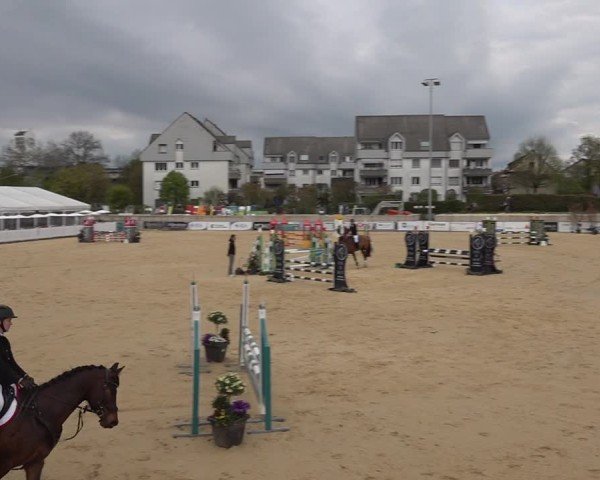 Reitturnier Amriswil 2025