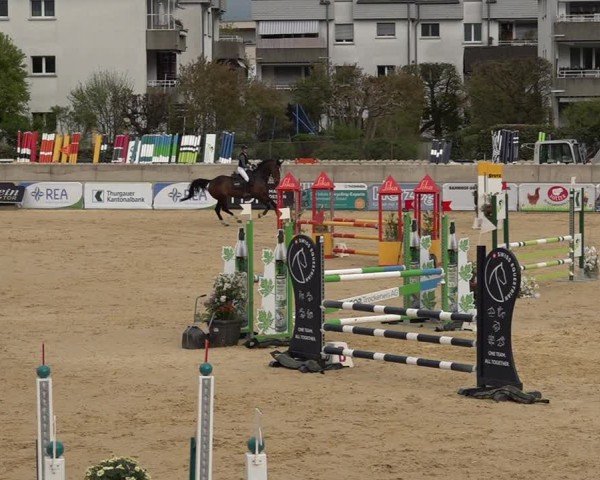Reitturnier Amriswil 2025