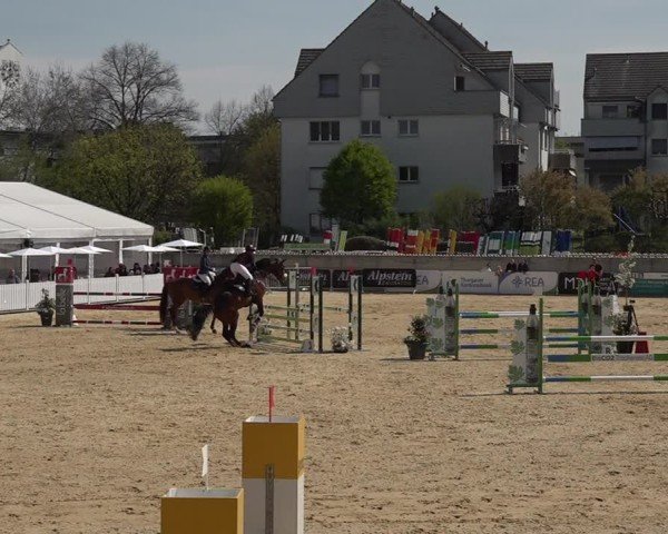 Reitturnier Amriswil 2025