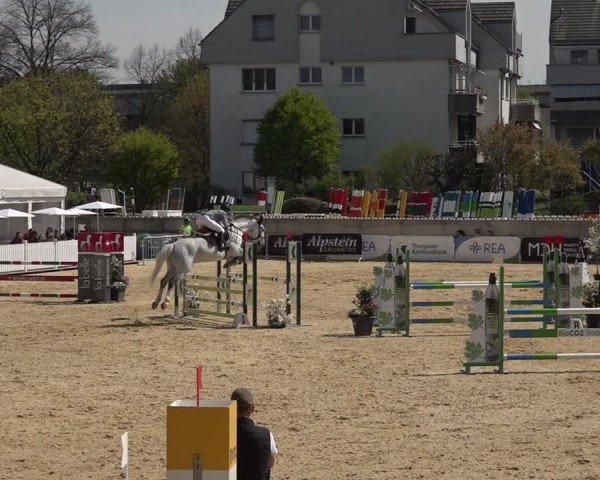 Reitturnier Amriswil 2025