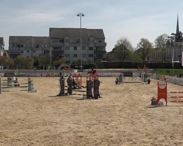 Reitturnier Amriswil 2025
