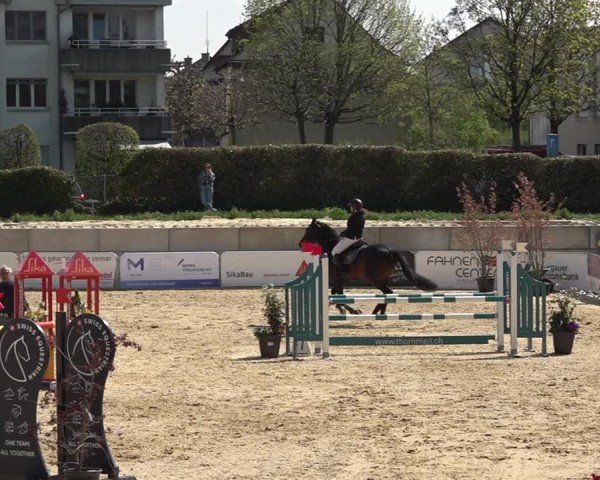 Reitturnier Amriswil 2025