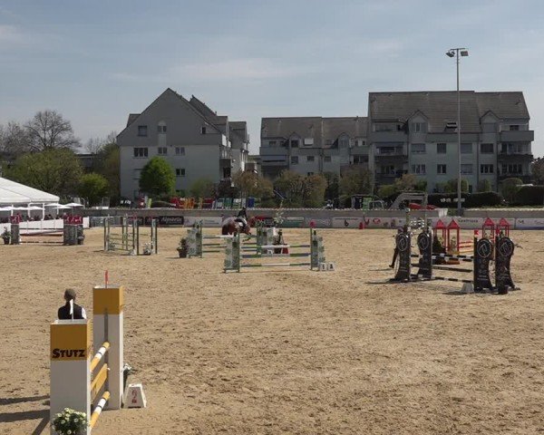 Reitturnier Amriswil 2025