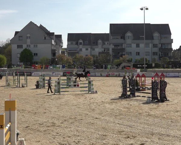 Reitturnier Amriswil 2025