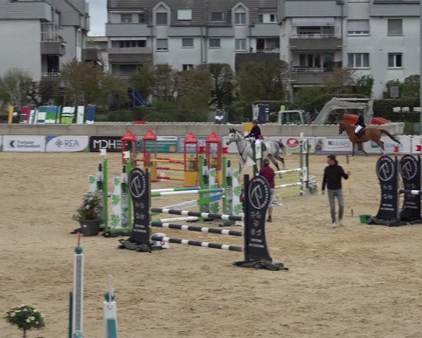 Reitturnier Amriswil 2025