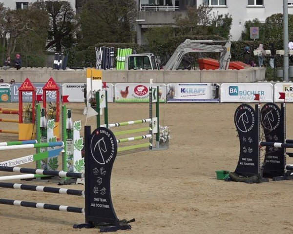 Reitturnier Amriswil 2025