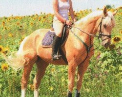 jumper Theodore Mosby (German Riding Pony, 2008, from Top Zento)