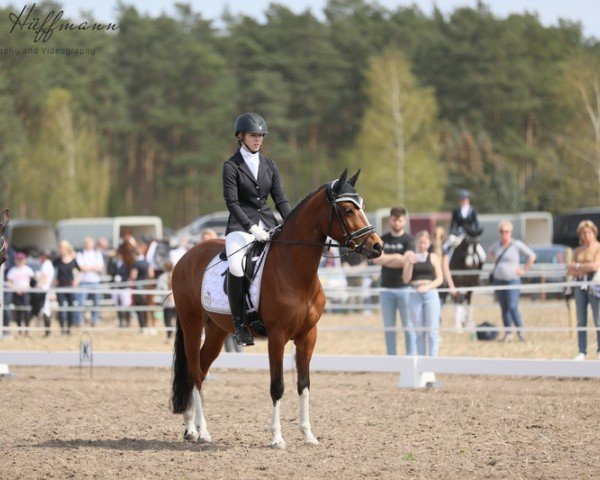 Dressurpferd Nalou 4 (Deutsches Reitpony, 2019, von Ulk d'Ete)