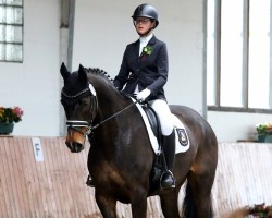 dressage horse Chaconteur (Hanoverian, 2004, from Conteur)