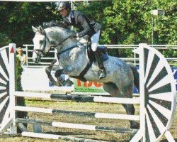 jumper Casimir K (German Sport Horse, 2006, from Casander)