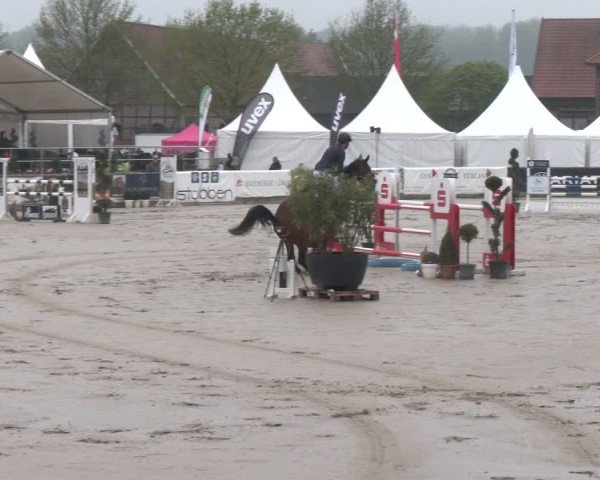Lenklarer Reitertage Werne 2025