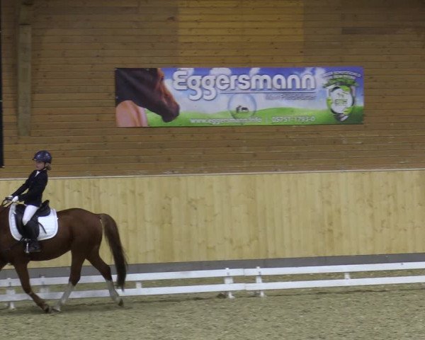 Reitturnier Paderborn 2021