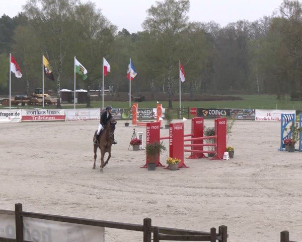 Reitturnier Westergellersen 2025