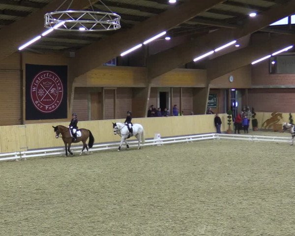 Reitturnier Paderborn 2021