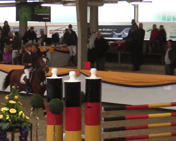 Vreden 2014