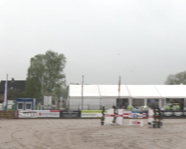 Reitturnier Werne-Lenklar 2025