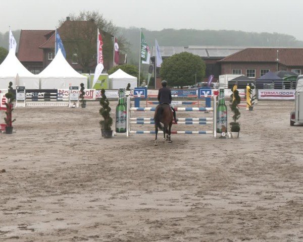 Reitturnier Werne-Lenklar 2025