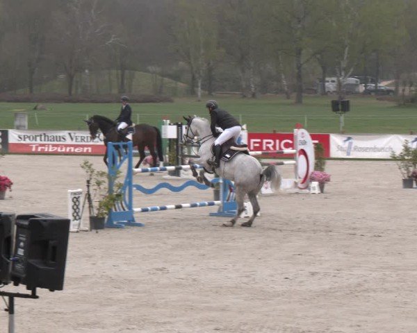 Reitturnier Westergellersen 2025