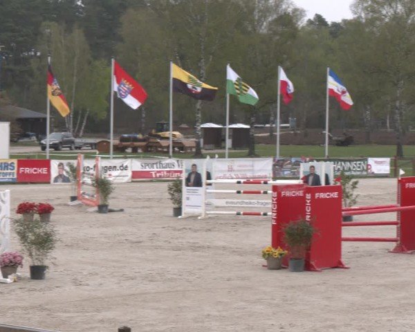 Reitturnier Westergellersen 2025