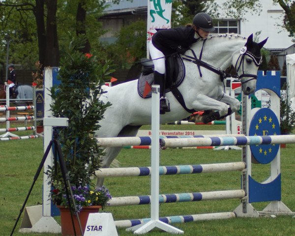 jumper Roxanne 126 (Hanoverian, 2001, from Rotspon)