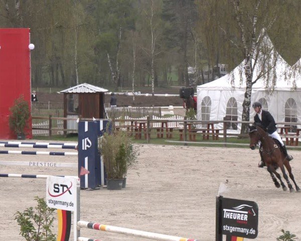 Reitturnier Westergellersen 2025