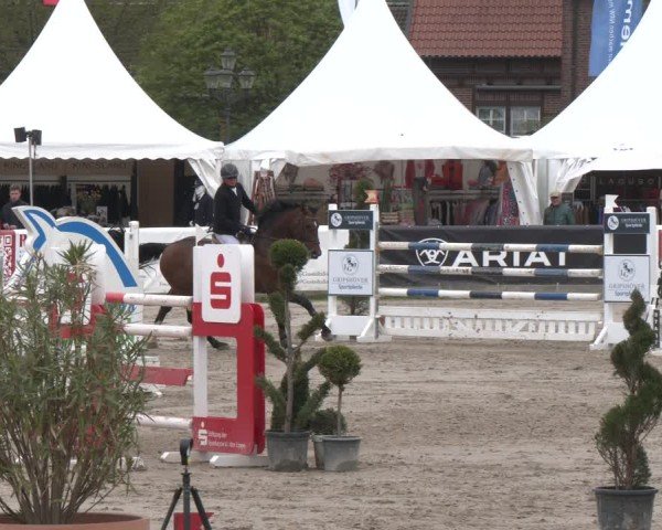 Lenklarer Reitertage Werne 2025