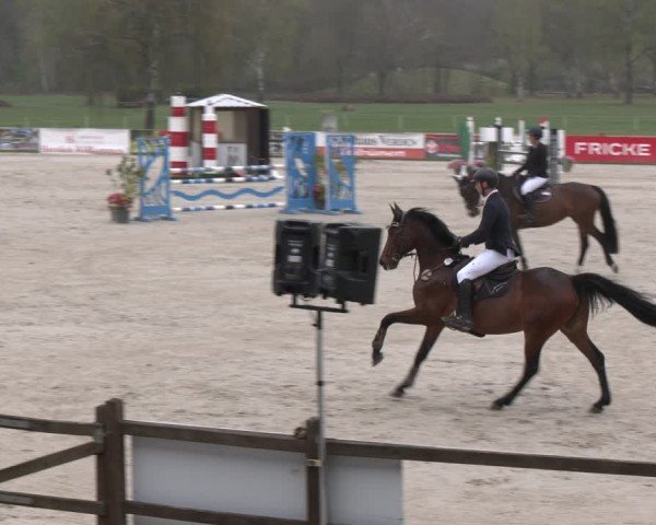 Reitturnier Westergellersen 2025