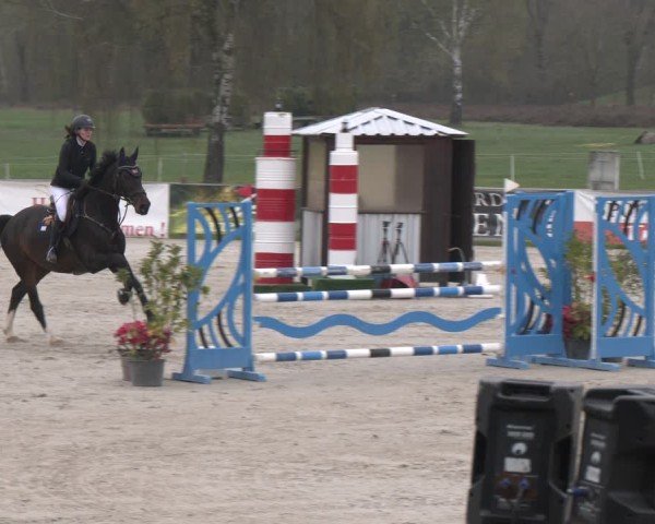 Reitturnier Westergellersen 2025