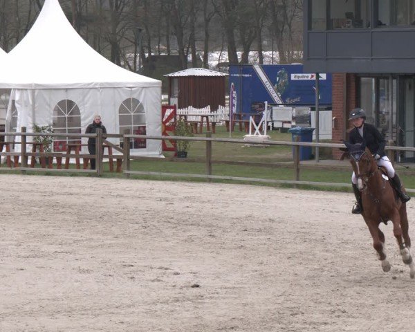 Reitturnier Westergellersen 2025