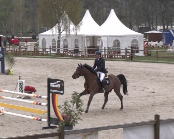 Reitturnier Westergellersen 2025