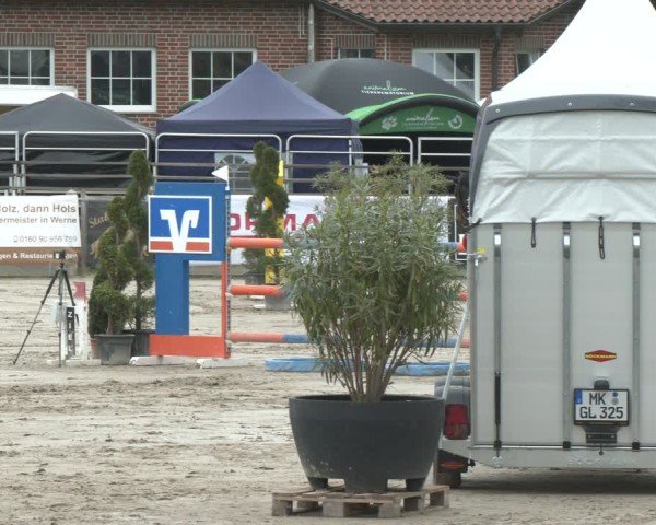 Lenklarer Reitertage Werne 2025
