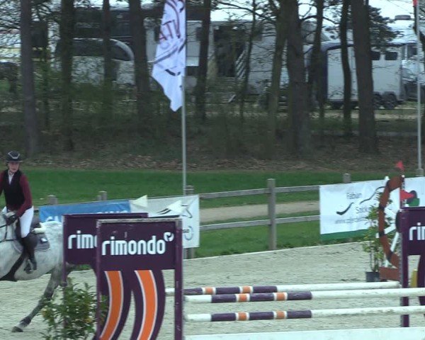 Reitturnier Westergellersen 2025