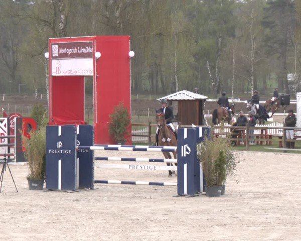 Reitturnier Westergellersen 2025