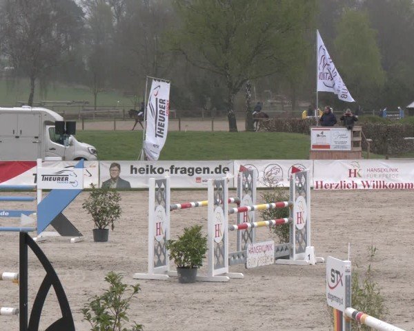 Reitturnier Westergellersen 2025