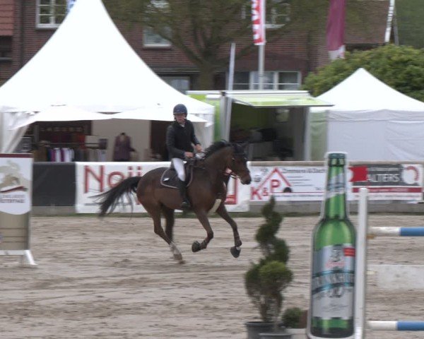 Lenklarer Reitertage Werne 2025