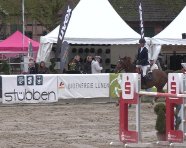 Reitturnier Werne-Lenklar 2025