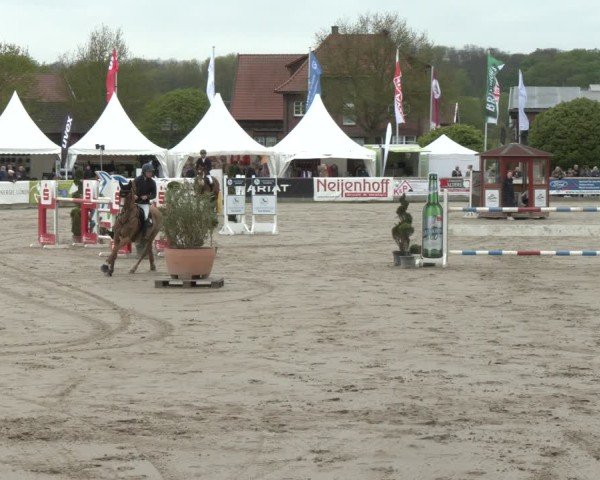 Lenklarer Reitertage Werne 2025