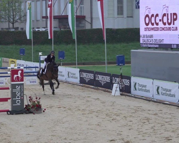 Reitturnier Amriswil 2025