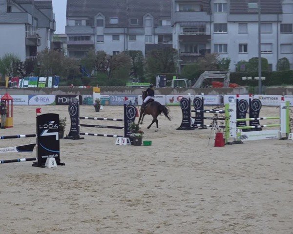 Reitturnier Amriswil 2025