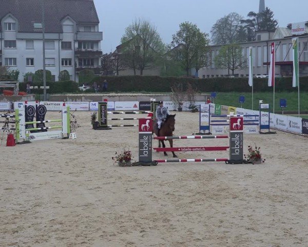 Reitturnier Amriswil 2025