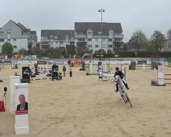 Reitturnier Amriswil 2025