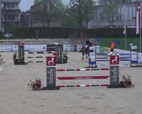 Reitturnier Amriswil 2025