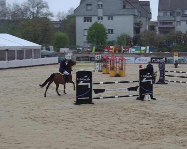 Reitturnier Amriswil 2025