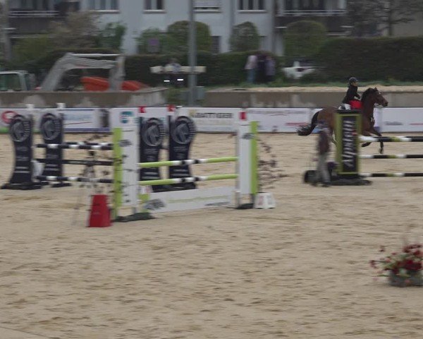Reitturnier Amriswil 2025