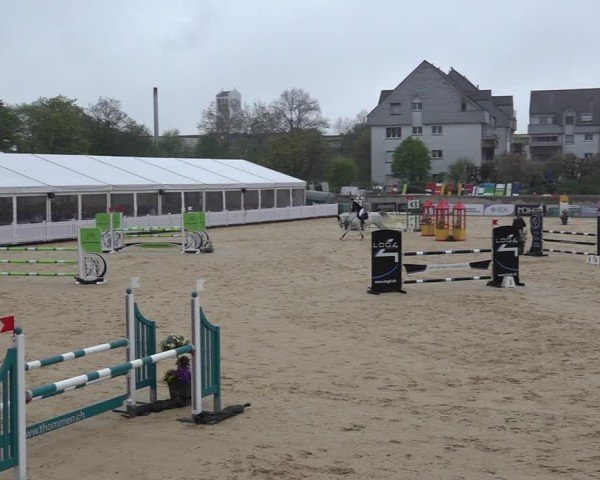 Reitturnier Amriswil 2025