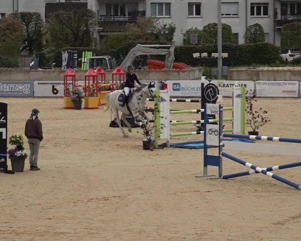 Reitturnier Amriswil 2025
