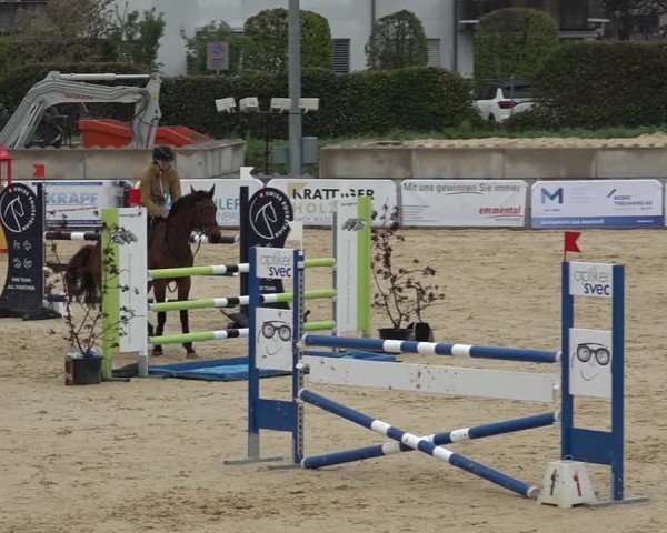 Reitturnier Amriswil 2025
