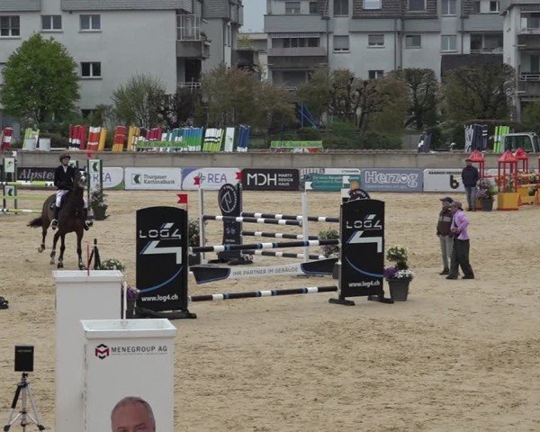 Reitturnier Amriswil 2025
