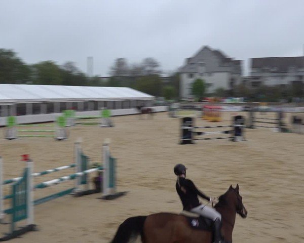 Reitturnier Amriswil 2025